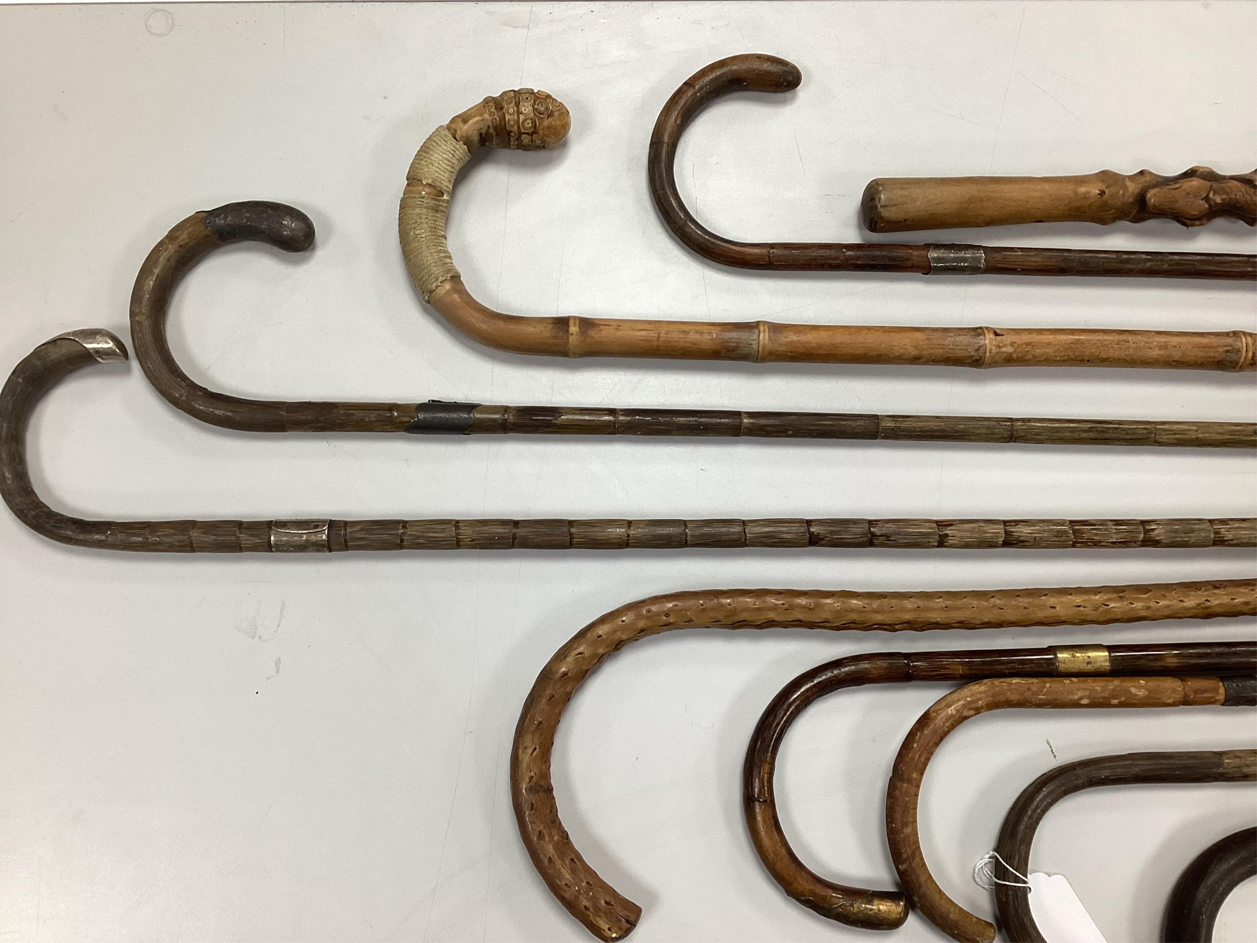 A collection of ten carved walking sticks, some silver mounted